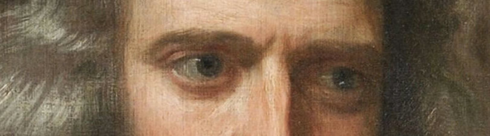 A picture of Isaac Newton's eyes